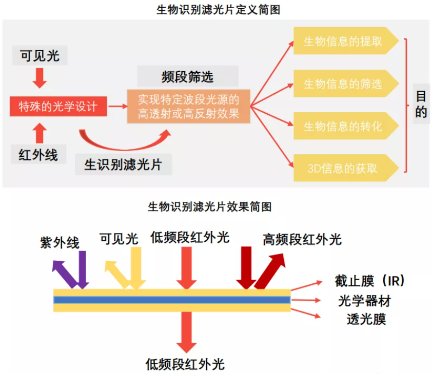 濾光片