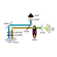 什么是熒光定量PCR、數(shù)字PCR？