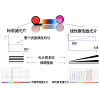 線性漸變?yōu)V光片是什么？有何特點？